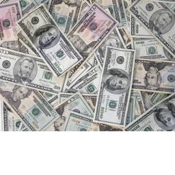 billionaire traning center