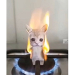 "????????"