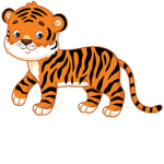 The Tiger Squad15