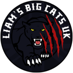 Big Cats UK