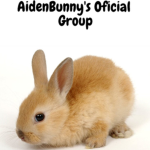 Bunny Warriors (AidenBunny's Official Group)