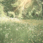 || bugs garden ||