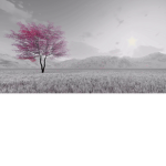 _Spaces_