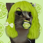 Meow Meow fan club!