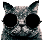 Team Cat Squad