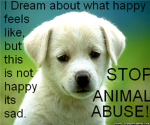 animal lovez