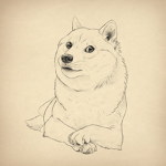 Doge Army USA