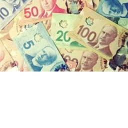 What is the code? 💲💲💲💲💲💲 icon