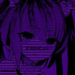 彡WildCats