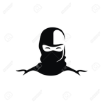 stealth ninja group