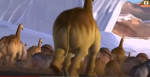 Migratorios Eternos
