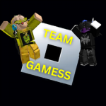 TEAM GAMESS