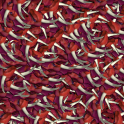 Chrysophylax
