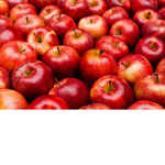 Da Apples group!!