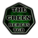 The Green Berets: Acedemy