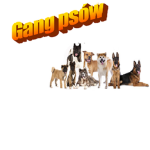 Gang psów :D
