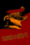 Ryūkyū Ryōken