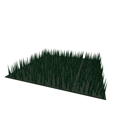 Grass