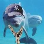 dolphin squad!