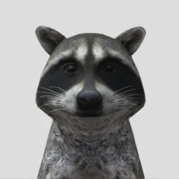 Rakoon [NEW MAP] icon