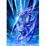 Dragon Traditional Club