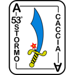 53º Stormo "Guglielmo Chiarini"
