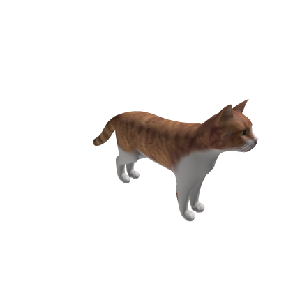 cat rigged