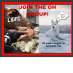 The oh group