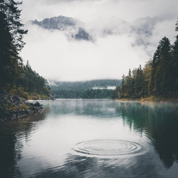 Chill Lake Hangout  (VC)