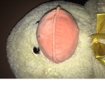 Heymanimjr