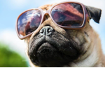 EpiC GamEr DaWgS