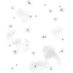 Flowerfa group