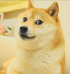 The Friends Doge