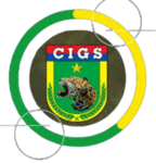 "-[CIGS] Centro de Instrução de Guerra na Selva-"