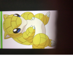 The sandshrews