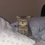 muehhehehehheheheheh