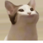 Doges/PopCats