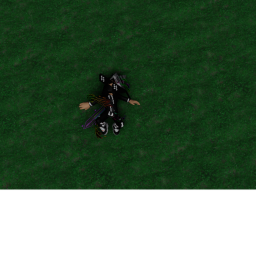 Radgoll Simulator