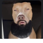 Doge with Ross group