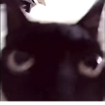 ᴄᴏᴏʟ ᴄʟᴏᴛʜɪɴɢ ᴀɴᴅ ᴄᴏ.