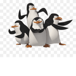 The Legend Penguin