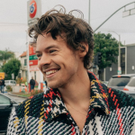 harry style enthusiasts !!
