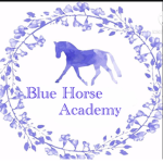 Blue Horse Academy