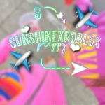 sᴜɴsʜɪɴᴇs ʀᴏʙʟᴏx