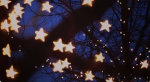 My_Little_Starz