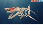 Shark Bite group!!