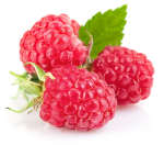 Razz's Raspberries