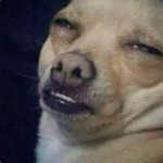 Dog Phe Can