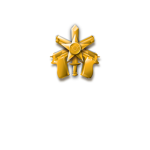 [ R O K A ] Special Duty Team