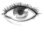 Eye-Spy-a-Group!